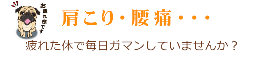 肩こり・腰痛
